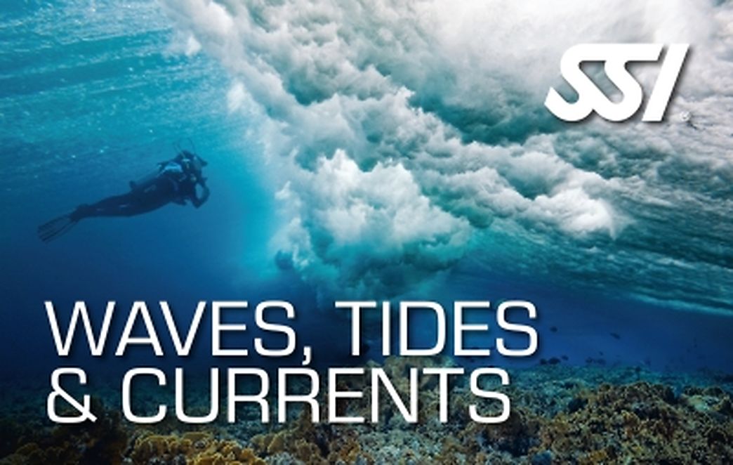 Waves, Tides and Currents Specialty