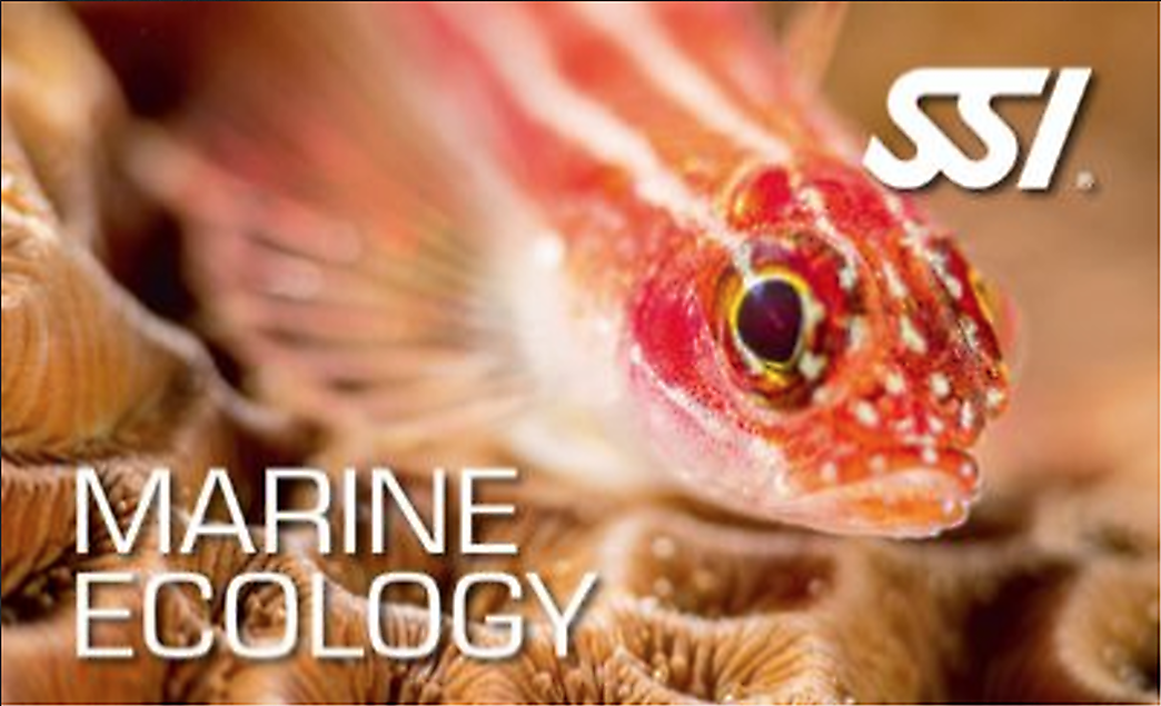 Marine Ecology Specialty
