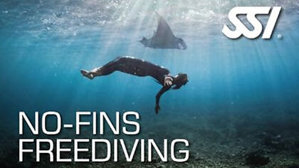 Lassdive - Freediving course No Fins SSI PADI AIDA CMAS