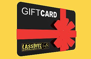 For Christmas, Lassdive's Gift Card