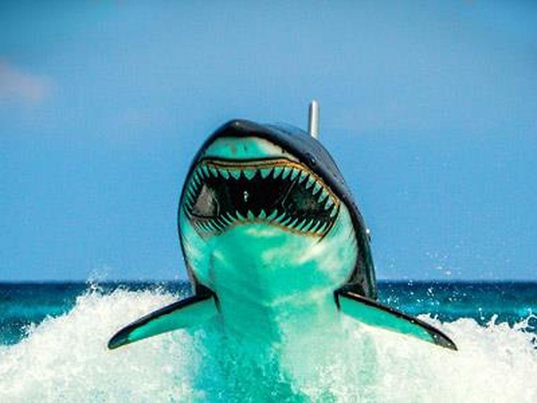 Jet Shark Castelldefels - Port Ginesta