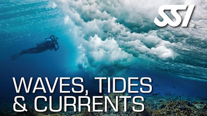 Lassdive - Scuba diving course Waves, Tides and Currents SSI PADI CMAS FEDAS PSS