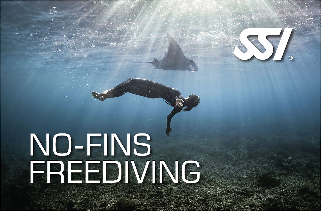 Freedive l'Estartit - Especialidad sin aletas