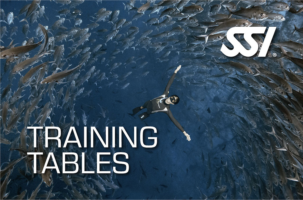 Freedive l'Estartit - Training Tables SSI course