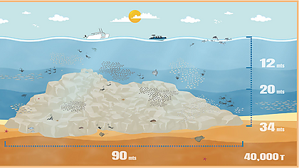 Lassdive - Sortie de plongée à Costa Dorada et Biotopo de Torredembarra