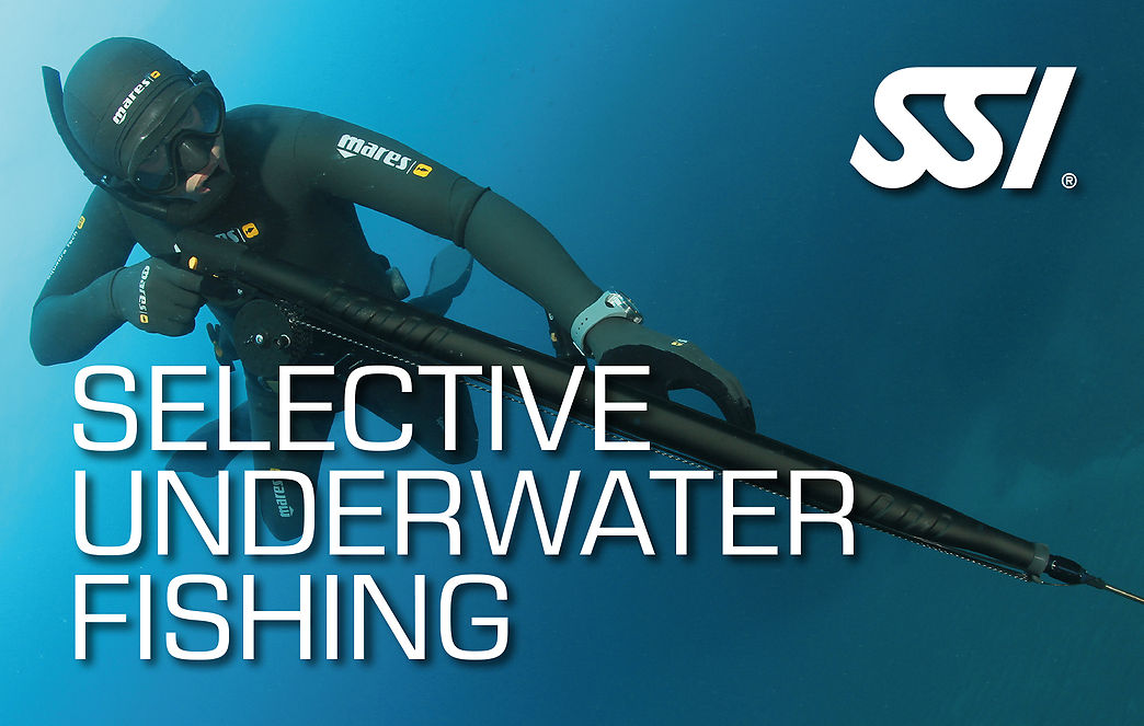 Freedive l'Estartit Spearfishing training techniques