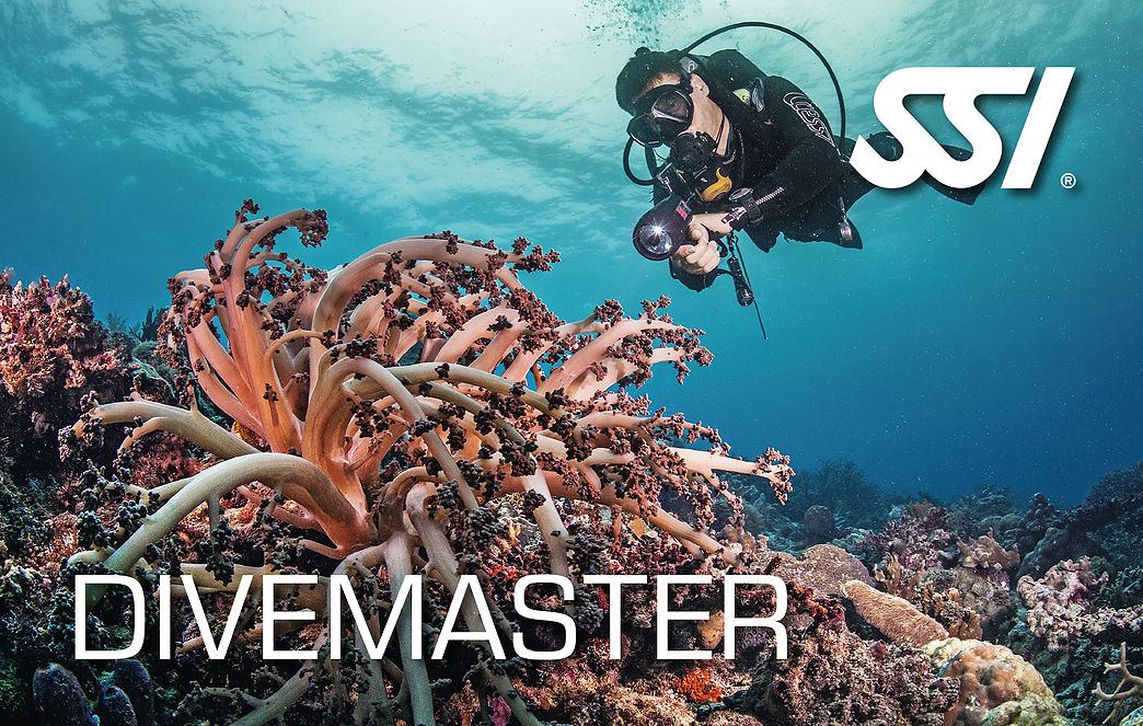 Lassdive - SSI Divemaster course