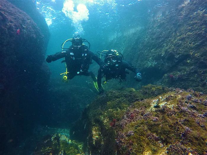 Salidas guiadas de buceo con Lassdive en marzo