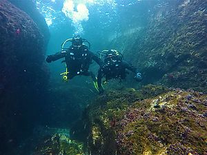 Dive trips with Lassdive in March