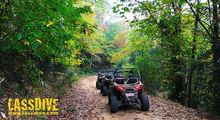 Autumn charms our buggy tours around Catalonia!