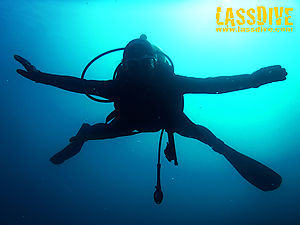 Cursos de submarinisme al cor de la Costa Brava, Girona