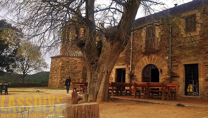 Nova ruta gastronòmica en buggy!