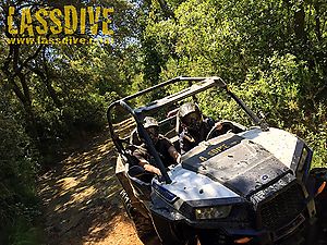 Passion for Polaris Buggies