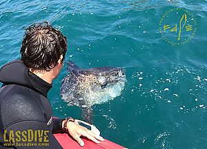 Catalan Coast, the ideal place to practice free diving