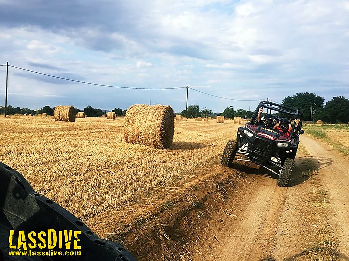  Enjoy speed and nature with a 4x4 buggy!