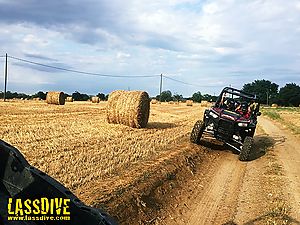  Enjoy speed and nature with a 4x4 buggy!