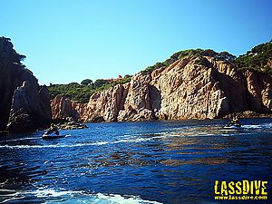 Som el teu centre de lloguer de motos d'aigua