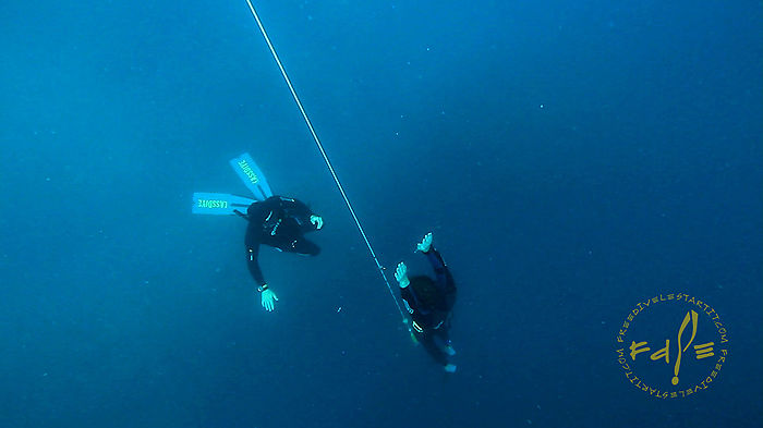 Curs d'Instructor d'apnea (N1, N2), Costa Brava, Catalunya