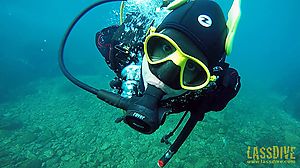 Open Water Diver - Cursos de Submarinisme a Girona