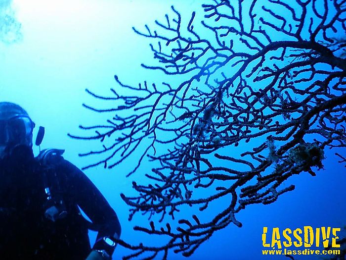 Bautizo de buceo y curso de submarinismo en la Costa Brava