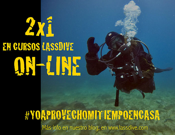 Oferta 2x1 en el teu curs on-line de submarinsime Lassdive