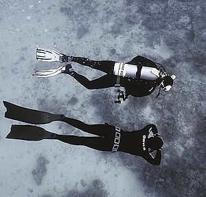 Diving and free-diving course in Garraf