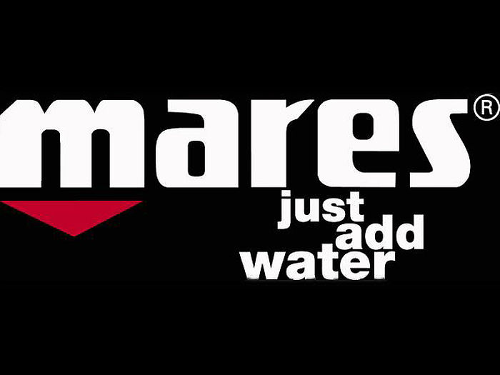 Partnership Lassdive and Mares