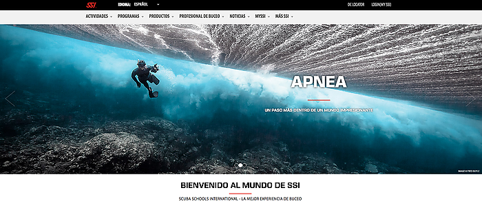 Have you surfed the new SSI website?