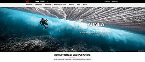 Have you surfed the new SSI website?