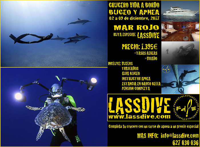 Lassdive i Freedive l'Estartit et porten al Mar Roig de vida a bord!!!