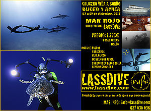 Lassdive and Freedive l'Estartit take you to Red Sea in a liveaboard!!!