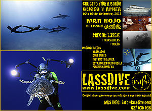 Lassdive i Freedive l'Estartit et porten al Mar Roig de vida a bord!!!