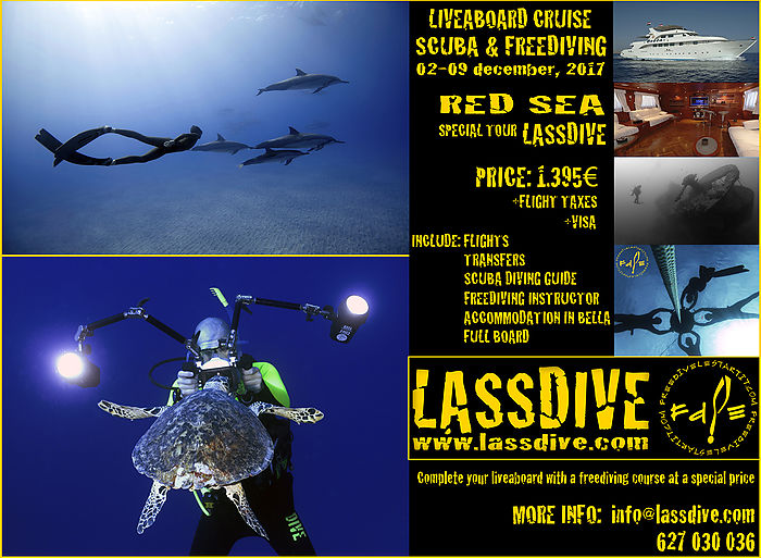 Lassdive i Freedive l'Estartit et porten al Mar Roig de vida a bord!!!